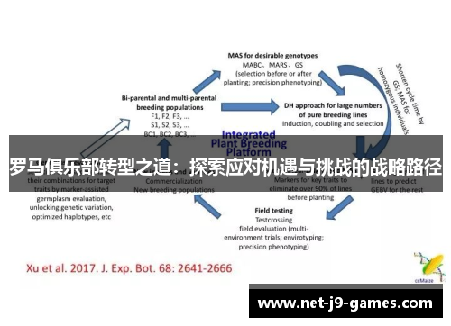 罗马俱乐部转型之道：探索应对机遇与挑战的战略路径