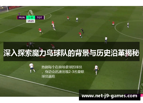 深入探索魔力鸟球队的背景与历史沿革揭秘