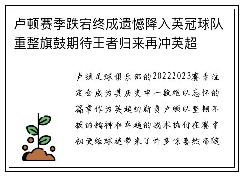 卢顿赛季跌宕终成遗憾降入英冠球队重整旗鼓期待王者归来再冲英超 卢顿赛季跌宕终成遗憾降入英冠球队重整旗鼓期待王者归来再冲英超